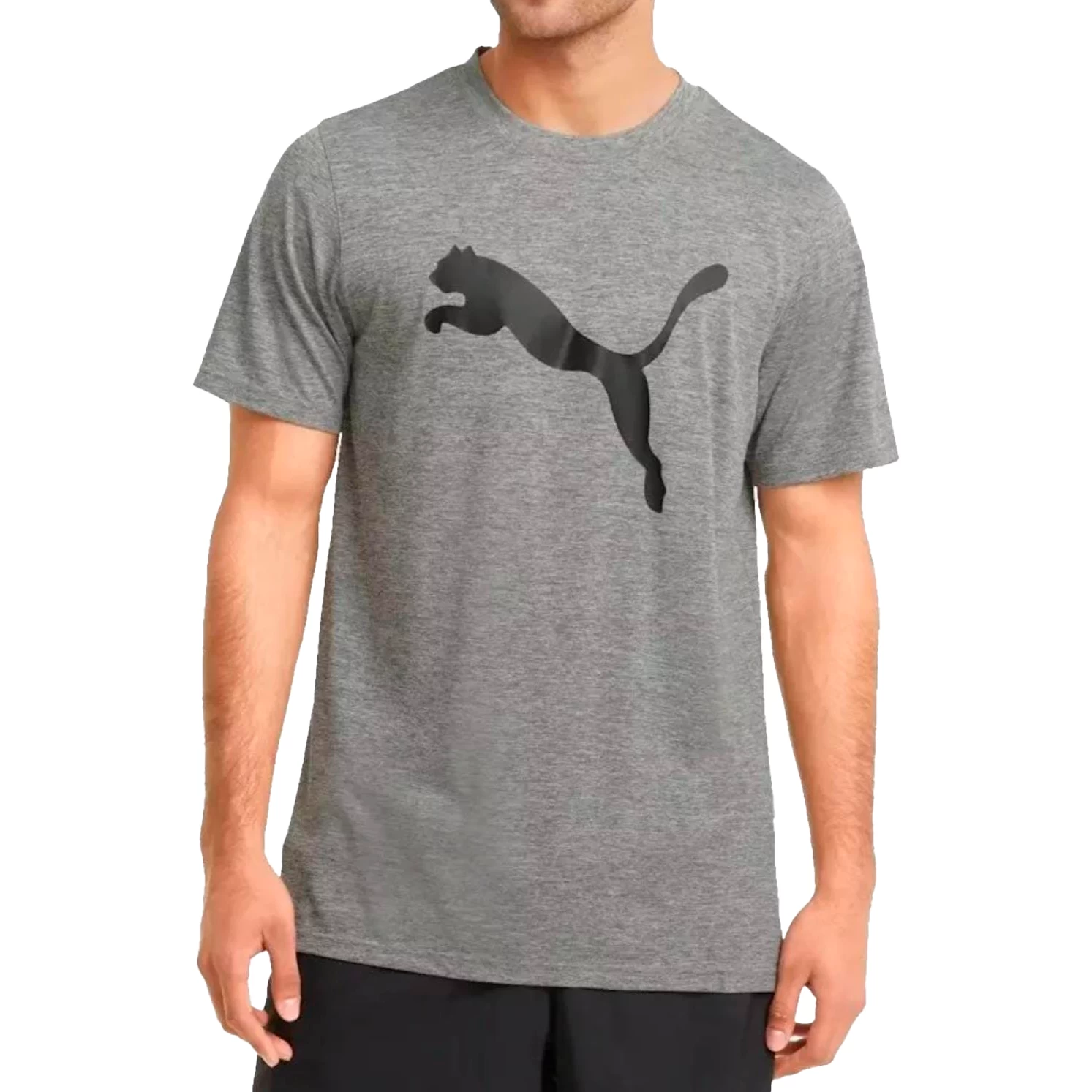 remera-puma-essentials-logo-mens-tee-586666b06